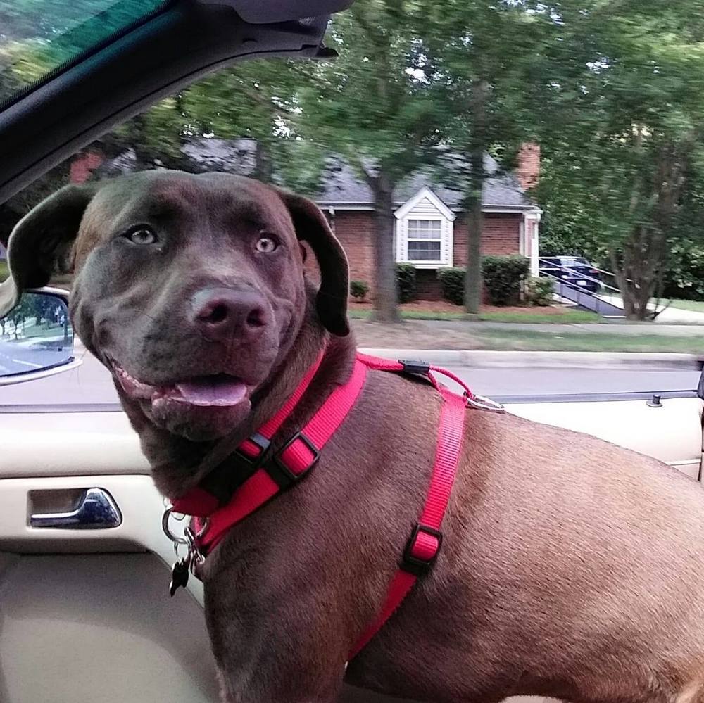 Meet your Posher, Jay